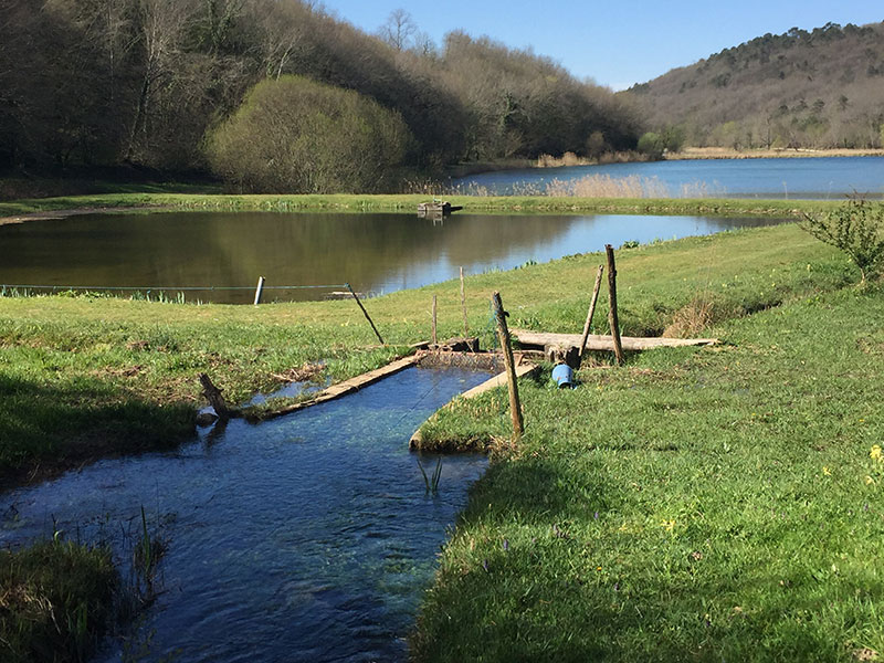 Jardin du gîte Le Pigeonnier - Les Maisons de Valadier